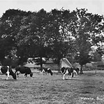 Boerderijen te Eursinge