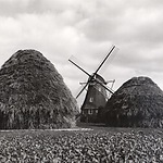 Molen de Zaandplatte