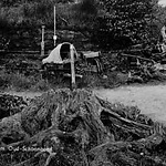 Turfgraverij in het Openluchtmuseum Oud-Schoonoord