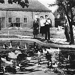 Het Natuur Historisch Museum