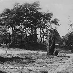 Natuurgebied de Schapendrift