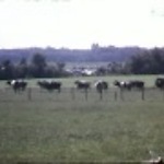 Midlaren, hunebedden en optocht 1978